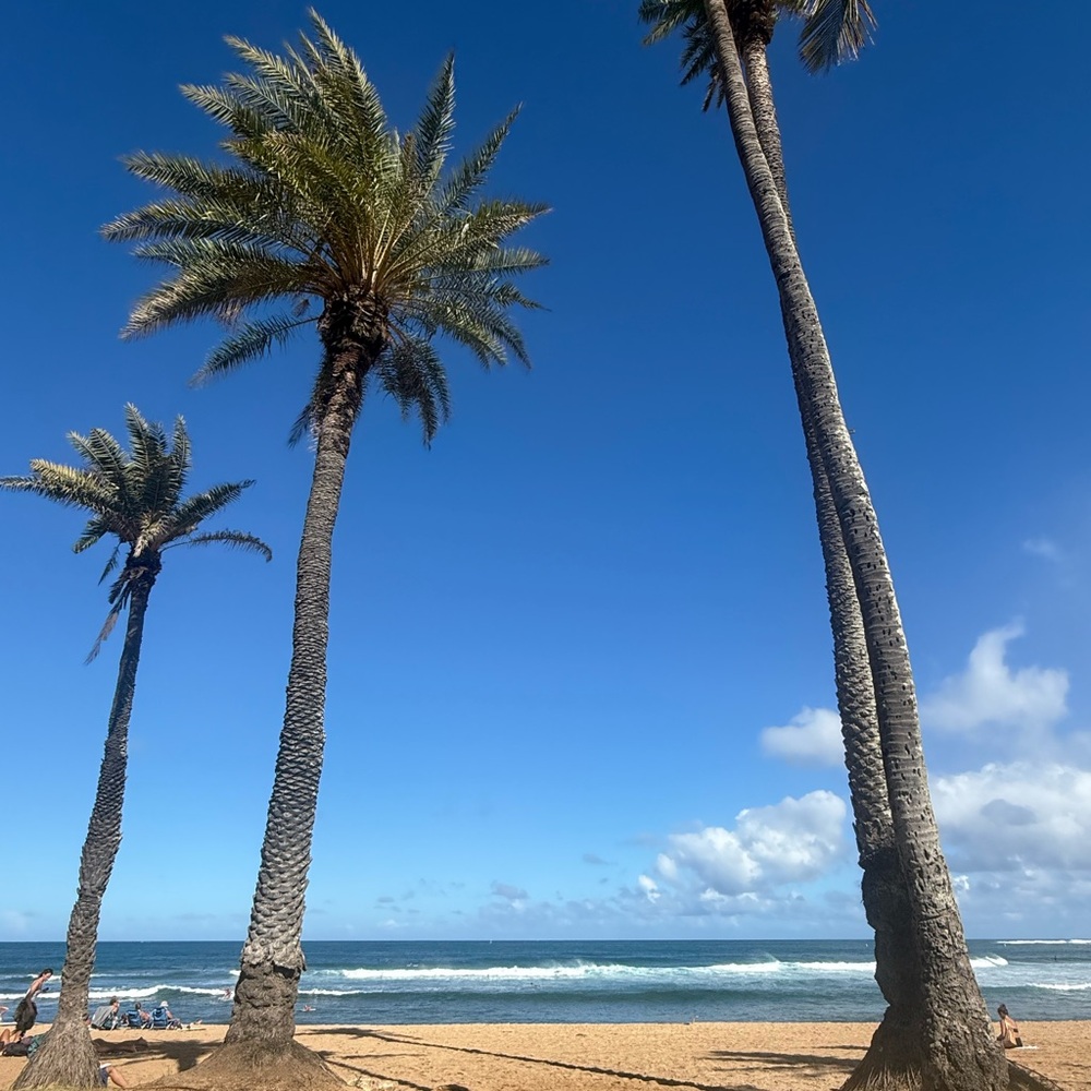 Meet your Posher, Tina